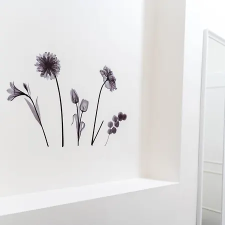 Beautiful In The Center Of 1 Apartment *